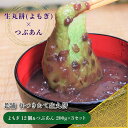 【ふるさと納税】杵つき 生丸餅 よもぎ 12個 ＆ つぶあん 200g×3 セット 老舗 和菓子屋さん 生餅 餅 国産よもぎ あんこ 昔ながら 手作り 甘さ控えめ そのまま食べても美味しい あんころ餅 おしるこ 食品 お取り寄せ スイーツ デザート 冷凍 関西 大阪府 泉佐野市 送料無料