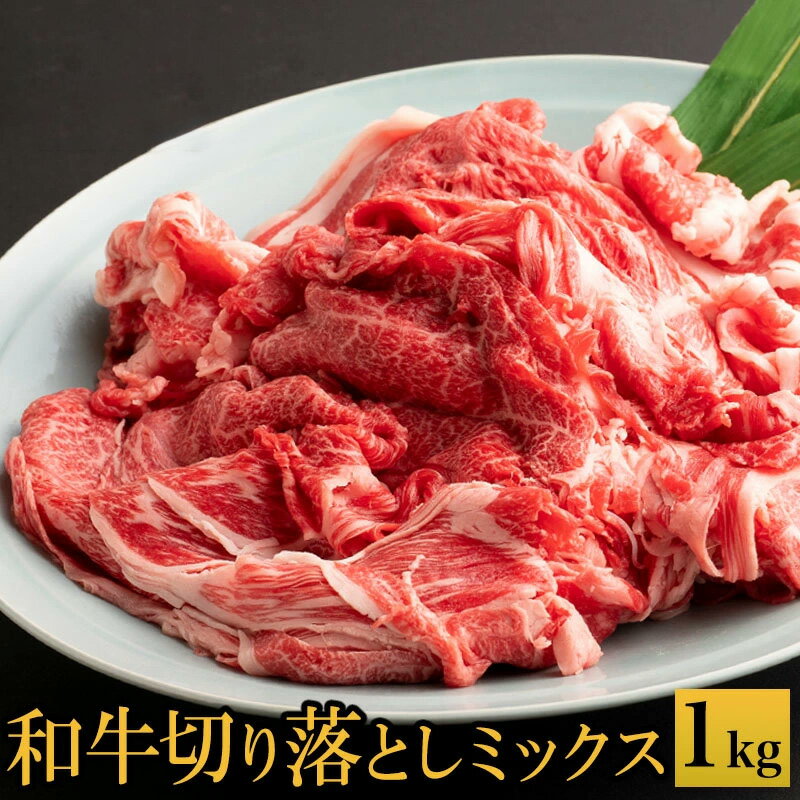 【ふるさと納税】黒毛和牛切り落とし 1kg 部位ミックス バラ モモ ウデ 肉の泉佐野