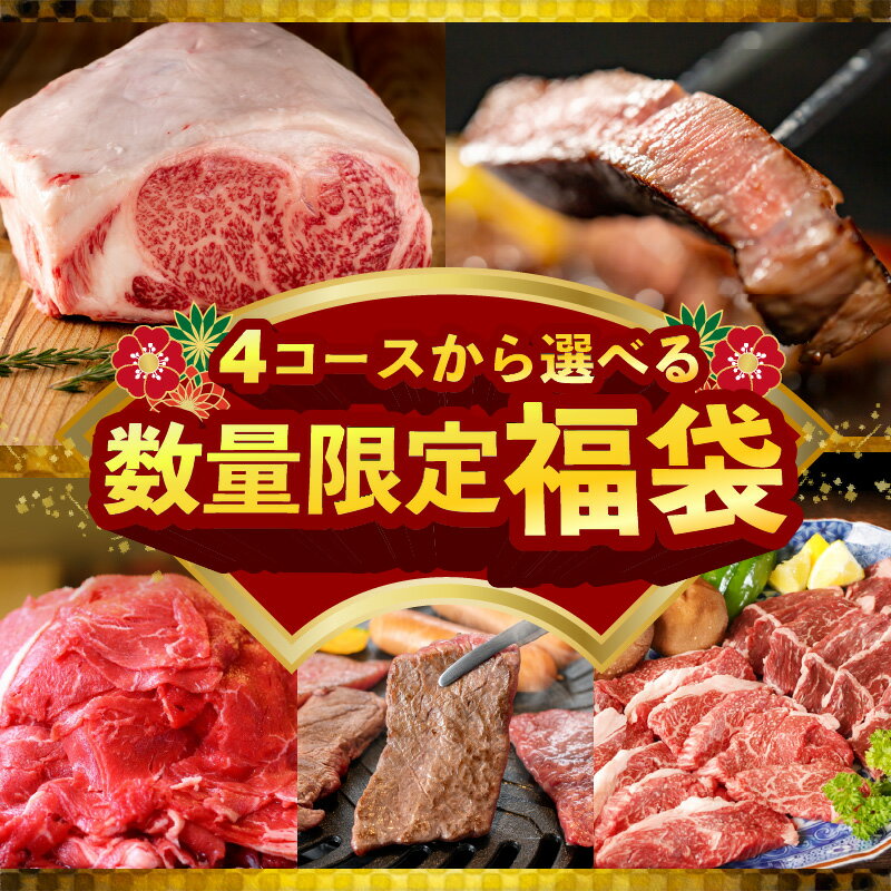 【ふるさと納税】選べる福袋 期間限定 熟成肉 お楽しみ 福袋 20,000円コース 4コース 牛肉 お肉 精肉 黒毛和牛 カルビ ハラミ 赤身 うで スライス A4 ロース ステーキ 切り落とし ハンバーグ ローストビーフ 氷温(R)熟成肉 大阪 泉佐野市 食品 冷凍 送料無料 肉の泉佐野