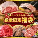 【ふるさと納税】【9月30日受付終了】 期間限定 選べる福袋 熟成肉 お楽しみ 福袋 20,000円コース 4コース 牛肉 お肉 精肉 黒毛和牛 カルビ ハラミ 赤身 うで スライス A4 ロース ステーキ 切り落とし ハンバーグ ローストビーフ 氷温(R)熟成肉 泉佐野市 送料無料 肉の泉佐野