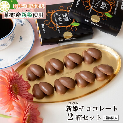 【ふるさと納税】新姫(にいひめ)チョコレート 2...