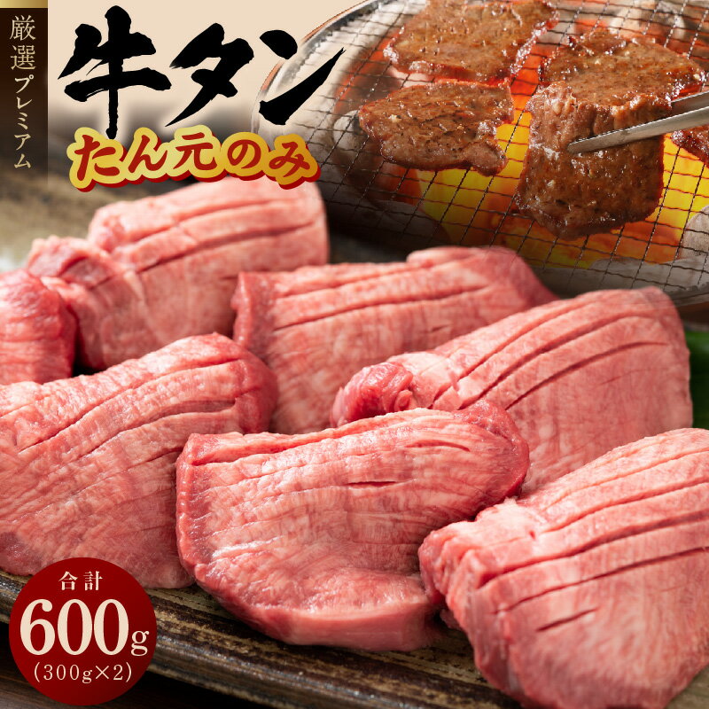 【ふるさと納税】牛タン たん元のみ 300g × 2 パック 合計 600g 厳選 焼くだけ 柔らか ジューシー 牛肉 牛 肉 精肉 焼肉 肉の泉佐野 お取り寄せ お取り寄せグルメ 冷凍 大阪府 泉佐野市 送料無料