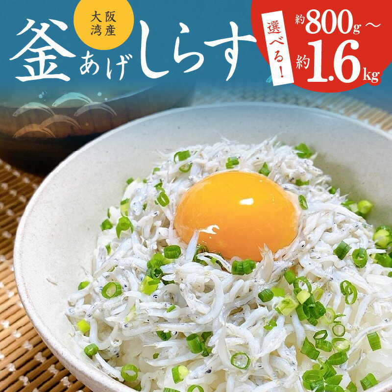 【ふるさと納税】＼訳あり／ しらす 釜揚げしらす 釜揚げ 家庭用 シラス丼 無添加 天然 カルシウム おつまみ 酒の肴 ごはんのお供 お取り寄せ お取り寄せグルメ 家飲み 冷凍 大阪府 泉佐野市 送料無料