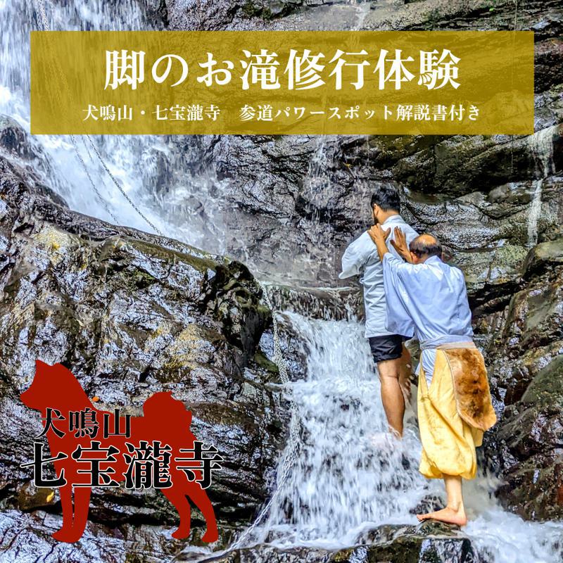 19位! 口コミ数「0件」評価「0」【特別企画】犬鳴山・七宝瀧寺 脚のお滝修行体験＋参道パワースポット解説書付き（2名様）