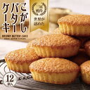 【ふるさと納税】期間限定 ケーキ バターケーキ こがしバターケーキ 12個入 個包装 専用箱入り 洋菓子 お菓子 スイーツ お取り寄せ お取り寄せグルメ 大阪府 泉佐野市 送料無料 むか新