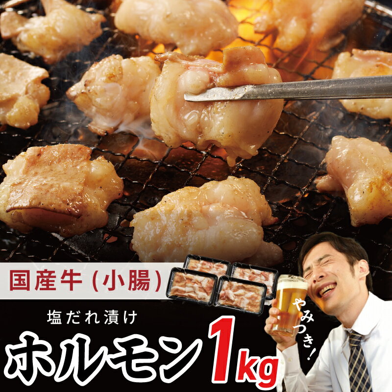 塩だれ漬け 国産牛ホルモン(小腸)1kg 焼肉用 小分け 250g×4