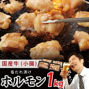 塩だれ漬け 国産牛ホルモン（小腸）1kg 焼肉用 小分け 250g×4