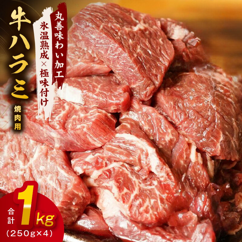 【ふるさと納税】牛肉 ハラミ 1kg（250g×4） 【丸善