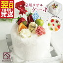【ふるさと納税】泉州タオルケーキ フルーツ 最短 翌日発送 5営業日