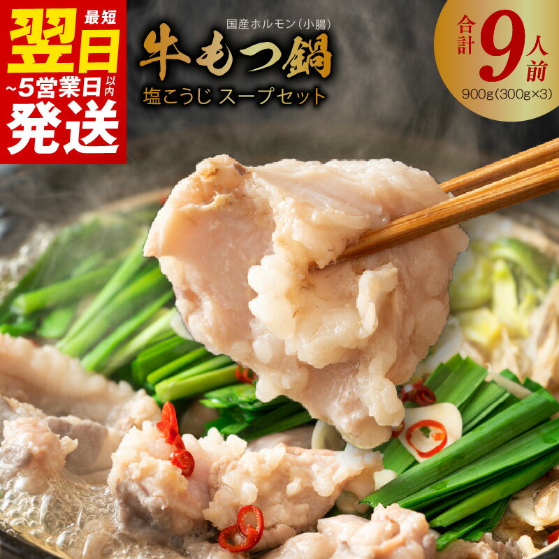 【ふるさと納税】＼最短5日以内発送／ ＼レビューキャンペーン／ 国産 牛肉 もつ鍋 900g（300g×3） 塩こうじ スープセット