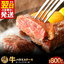 牛肉(ハラミ)人気ランク16位　口コミ数「23件」評価「4.61」「【ふるさと納税】＼最短5営業日以内発送／ ＼レビューキャンペーン／ 訳あり 牛ハラミ ステーキ 総量 800g 以上 ガーリックバター味 小分け 8枚 厚切り カット 牛肉 ハラミ 極味付け肉 サイズ 不揃い 焼肉 バーベキュー お取り寄せ 冷凍 大阪府 泉佐野市 送料無料」