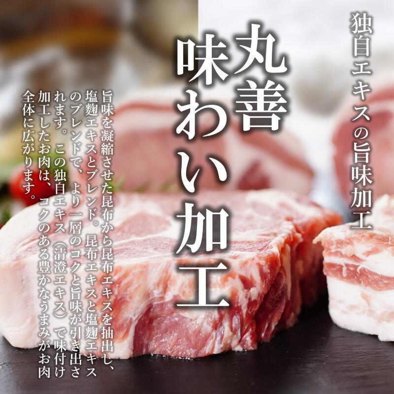 【ふるさと納税】丸善味わい加工 国産 豚肉 4種セット 定期便 1.2kg×3回 小分け 訳あり【毎月配送コース】