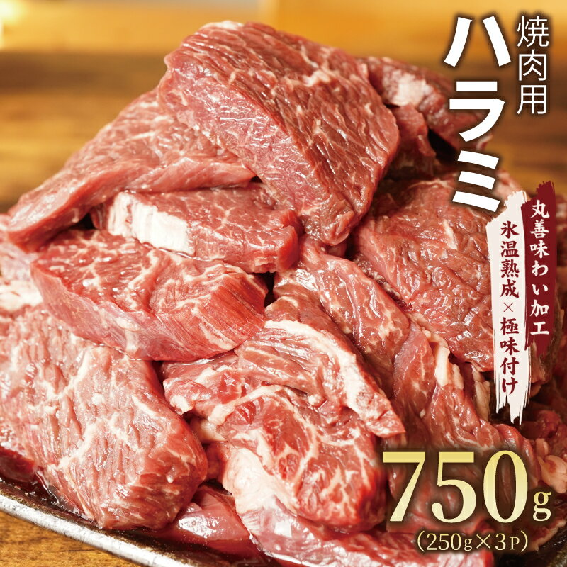 返礼品説明 名称 【ふるさと納税】【丸善味わい加工】牛肉 ハラミ 750g（250g×3） 内容量 【丸善味わい加工】牛ハラミ 750g（250g×3）※画像はイメージです。 配送温度帯 冷凍 賞味期限 発送日から30日間 説明 氷温®熟成肉でおなじみの丸善食品がお届けするふるさと納税限定の「極味付け肉」を、ぜひ一度ご賞味ください。お子さまから大人まで大人気の牛ハラミを独自エキスにより味付け！おうち焼肉やBBQに最適です！ぜひご賞味ください。【丸善味わい加工】旨味を凝縮させた昆布から昆布エキスを抽出し、塩麹エキスとブレンド。昆布エキスと塩麹エキスのブレンドで、より一層のコクと旨味が引き出されます。この独自エキス（清澄エキス）で味付け加工したお肉は、コクのある豊かな旨味がお肉全体に広がります。【丸善味わい加工の効果】独自エキスに含まれる酵素がたんぱく質を分解することでお肉を柔らかくし、塩麹の持つアミラーゼ・プロテアーゼ、昆布のグルタミン酸の働きにより旨味と甘味が全体に広がります。また、塩麹には消化酵素も含まれるため脂肪を分解する働きもあります。【解凍方法】冷蔵庫でゆっくりと解凍してください。解凍中にうまみエキスがお肉に、より浸透し旨味と甘味がアップします。【製造から出荷】極力在庫を抱えず、製造から出荷までを迅速に行うよう管理しています。※味付けを行う加工肉になりますので、若干の水分を含んだお品となります。ラップ梱包での出荷となるため、ラップに多少の霜がつくことがございますが新鮮なお肉をお送りしておりますのでご安心してお召し上がりください。 注意事項 牛内臓（オーストラリア、ニュージーランド 他）、米こうじ、自然塩、酒精、昆布エキス、PH調整剤（一部に牛肉を含む）、加工：泉佐野市※品質保持のため、宅配ボックスへの配達やご要望はお受けできません。 提供事業者 株式会社丸善食品 関連キーワード 氷温熟成牛 牛肉 熟成肉 氷温熟成 作り方 ふるさと納税オリジナル 限定 ふるさと納税 送料無料 スーパーSALE スーパーセール お買い物マラソン 地場産品に該当する理由 区域外から原材料を調達し、区域内において選別・切断して、独自の味付け加工を行い、包装、発送まで一連の工程を行っています。（告示第5条第3号に該当） ・ふるさと納税よくある質問はこちら・寄附申込みのキャンセル、返礼品の変更・返品はできません。あらかじめご了承ください。【ふるさと納税】【丸善味わい加工】牛肉 ハラミ 750g（250g×3）