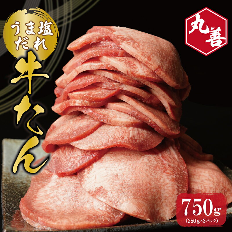 【ふるさと納税】【丸善旨塩ダレ】牛たん 750g（250g×3）氷温熟成牛 牛肉 熟成肉 氷温熟成 作り方 ふるさと納税オリ…