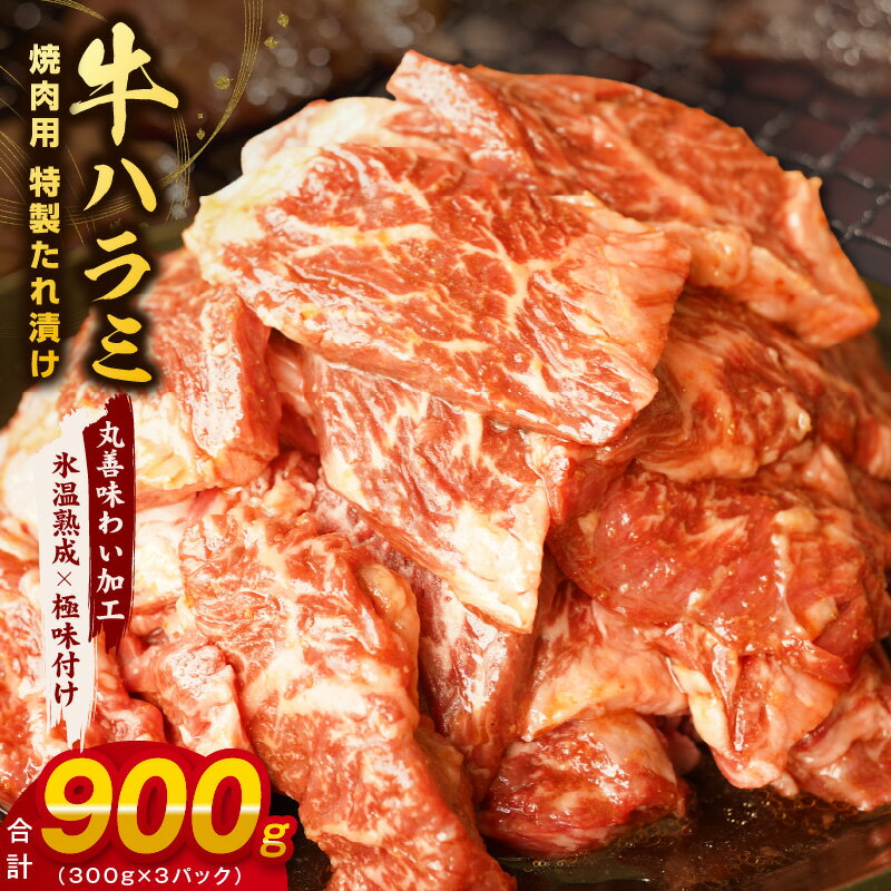 【ふるさと納税】【丸善特製ダレ】牛肉 ハラミ 900g（30