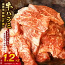 【ふるさと納税】【丸善特製ダレ】牛肉 ハラミ 1.2kg（3