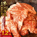 【ふるさと納税】【丸善特製ダレ】牛肉 ハラミ 1.2kg（300g×4）氷温熟成牛 牛肉 熟成肉 氷温熟成 作り方 ふるさと納税オリジナル 限定