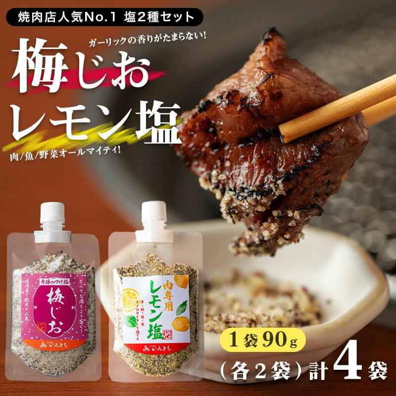 【ふるさと納税】＼レビューキャンペーン／ 焼き肉専門店 梅じお レモン塩 スパイスセット 90g×合計4袋 お試し