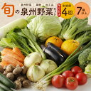 11位! 口コミ数「1件」評価「5」泉州野菜 定期便 全4回 7種類以上 詰め合わせ 野菜 国産 新鮮 毎月配送コース 鮮度抜群 新鮮野菜 果物 加工品 水茄子ぬか漬け 手作り･･･ 