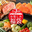 【ふるさと納税】泉佐野 お楽しみ 福袋 定期便 全3回 牛肉 ステーキ 海鮮 サーモン 野菜【毎月発送】ハラミステーキ 焼肉 バーベキュー シルバーサーモン 刺...