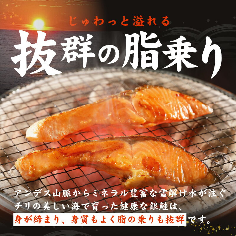 【ふるさと納税】銀鮭 切り身 定期便 総量 2kg×全3回 訳あり サイズ不揃い【毎月配送コース】