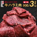 【ふるさと納税】＼レビューキャンペーン実施中／ ＼発送時期が選べる／ 牛肉 牛 ハラミ タレ漬け 焼肉 BBQ 手切り加工 焼肉用 焼くだけ 簡単 肉厚 ジューシー お取り寄せ 食品 肉の泉佐野 送料無料 泉佐野市 大阪府