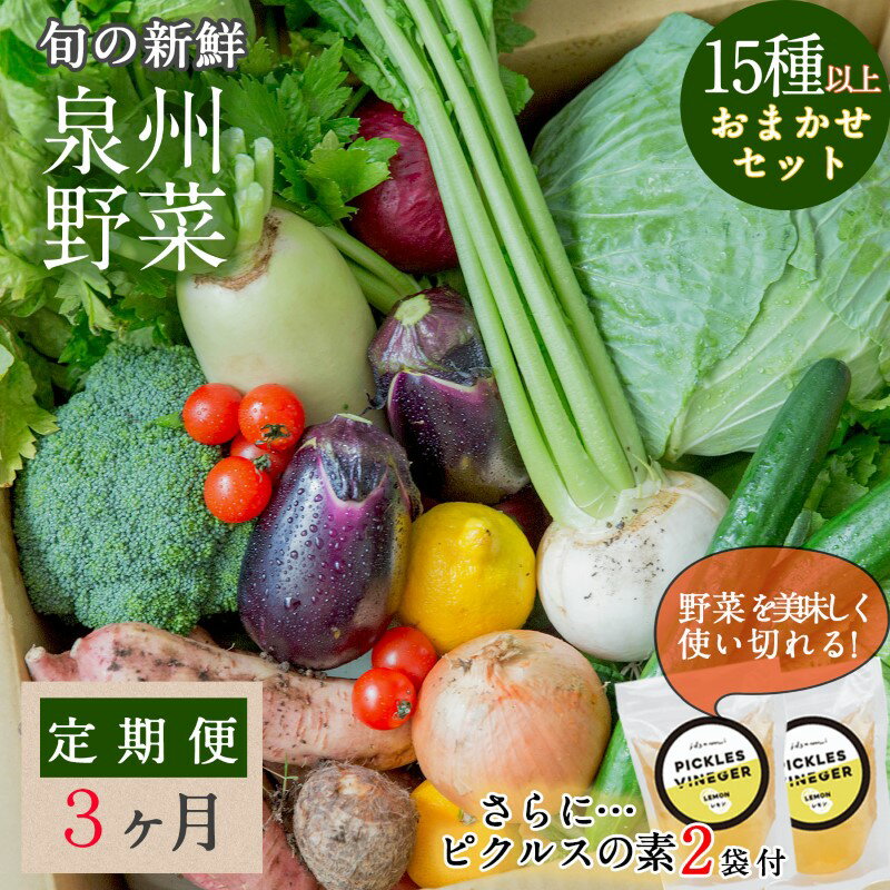 22位! 口コミ数「0件」評価「0」旬の新鮮 野菜セット（15種以上）定期便 全3回 おまかせ ピクルスの素付き ファミリー向け【毎月配送コース】