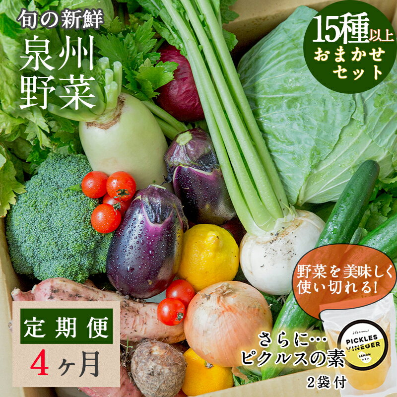 【ふるさと納税】旬の新鮮 野菜セット（15種以上）定期便 全4回 おまかせ ピクルスの素付き ファミリー向け【毎月配送コース】