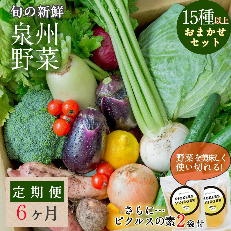 【ふるさと納税】旬の新鮮 野菜セット（15種以上）定期便 全