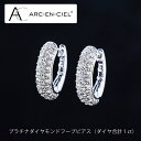 【ふるさと納税】【高島屋選定品】プラチナダイヤモンドフープピアス（ダイヤ合計 1ct）65N0086