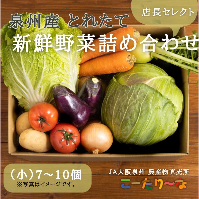 20位! 口コミ数「17件」評価「4.59」直売所店長セレクト季節の野菜セット（小）