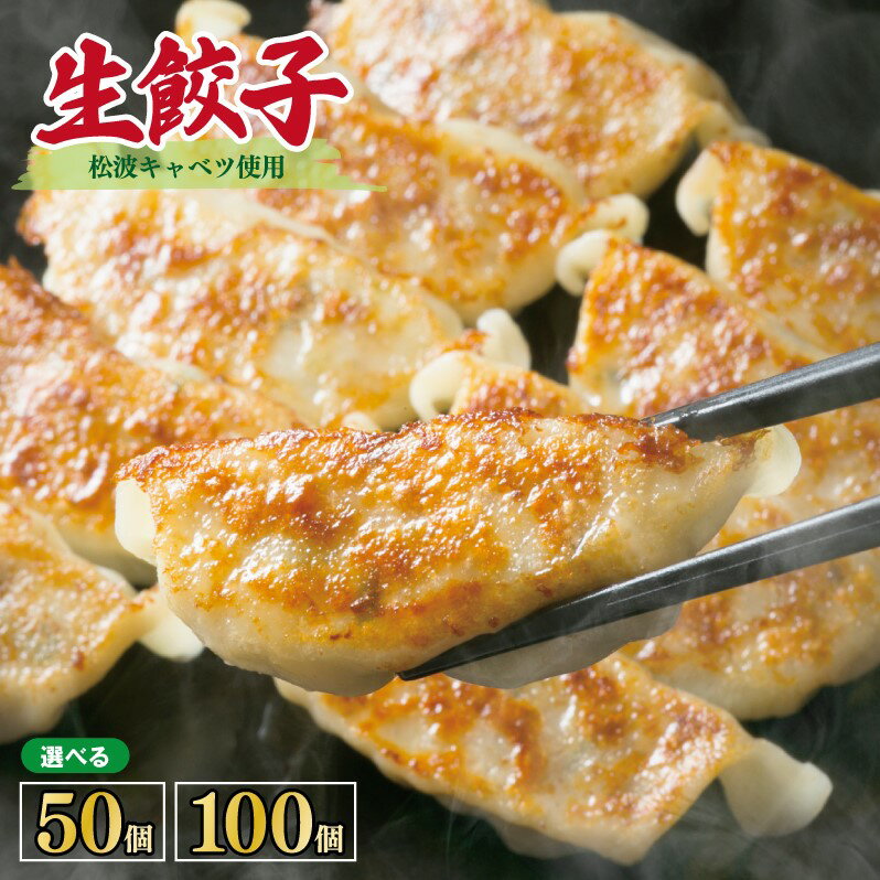 【ふるさと納税】生餃子セット 甘いと評判の松波キャベツ使用！ 50個 / 100個