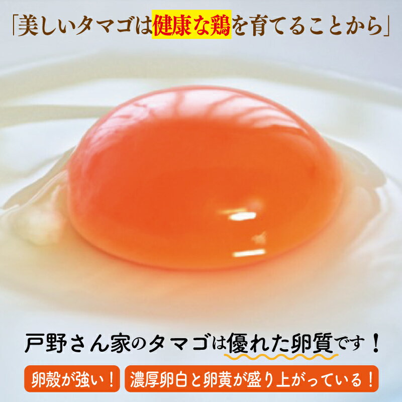 【ふるさと納税】戸野さん家のこだわりタマゴ とのたま 定期便 合計 180個（Mサイズ：60個×全3回）【毎月配送コース】