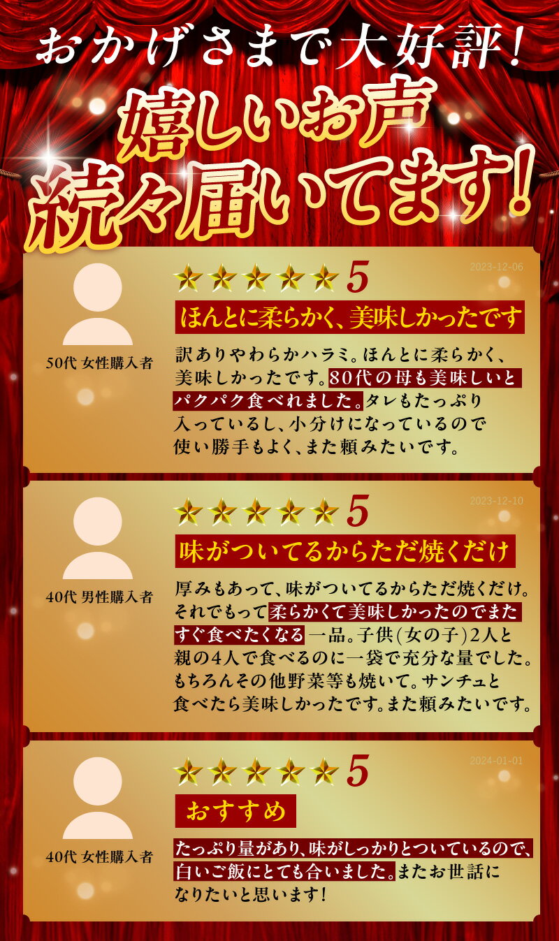 【ふるさと納税】訳あり やわらかハラミ 1kg / 1.5kg 特製旨タレ漬け 味付き 不揃い 牛肉 牛 ハラミ タレ漬け 焼肉 BBQ バーベキュー 焼くだけ 旨味 氷温熟成牛 牛肉 熟成肉 氷温熟成 作り方 ふるさと納税オリジナル 限定 小分け 焼肉丼 野菜炒め 大阪府 泉佐野市