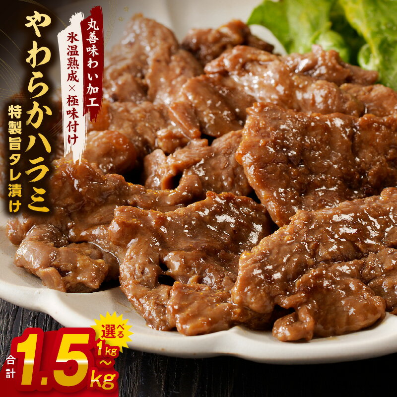 【ふるさと納税】訳あり やわらかハラミ 1kg / 1.5kg 特製旨タレ漬け 味付き 不揃い 牛肉 牛 ハラミ タレ漬け 焼肉 BBQ バーベキュー 焼くだけ 旨味 氷温熟成牛 牛肉 熟成肉 氷温熟成 作り方 ふるさと納税オリジナル 限定 小分け 焼肉丼 野菜炒め 大阪府 泉佐野市