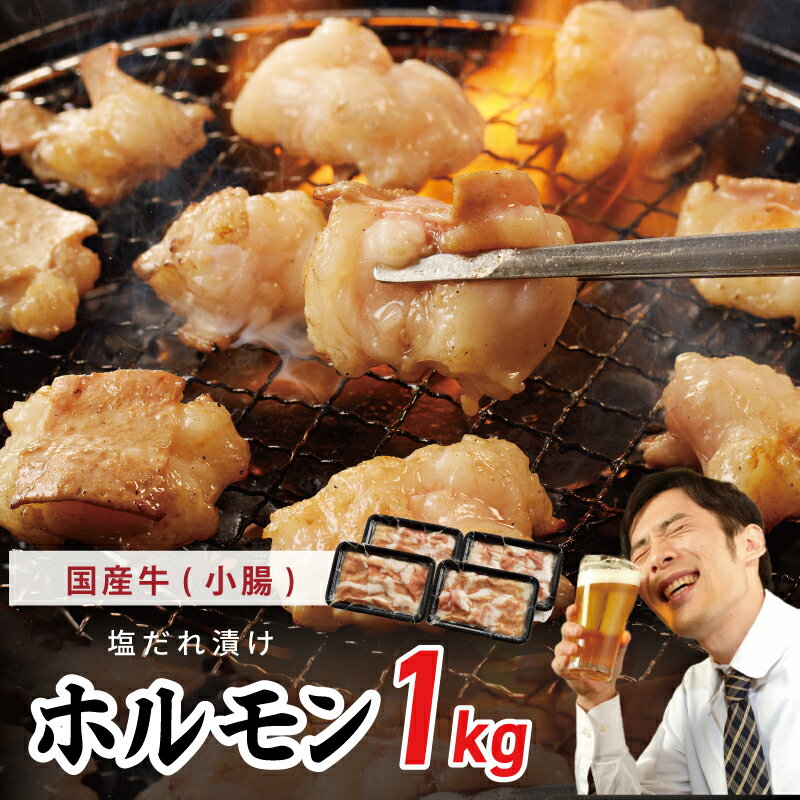 国産 牛肉 ホルモン 1kg 塩だれ漬け 焼肉用 小分け 250g×4P