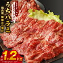 【ふるさと納税】希少部位 うちハラミ 1.2kg 焼肉用 400g×3 丸善特製ダレ 焼くだけ 簡単調理 牛肉 噛み応え ほどける 食感 ジューシー 小分け 氷...