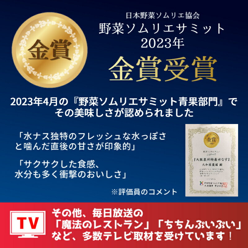 【ふるさと納税】大和屋さんの大阪泉州特産 水なす A級品 8個 生水なす 野菜ソムリエサミット金賞受賞