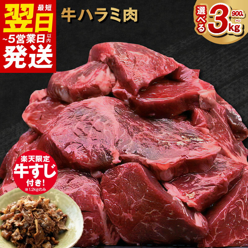 ＼最短5営業日以内発送／ ＼発送時期が選べる／ 訳あり 牛肉 牛 ハラミ タレ漬け 焼肉 BBQ 手切り加工 焼肉用 焼くだけ 簡単 肉厚 肉 牛ハラミ ジューシー 食品 肉の泉佐野 送料無料 泉佐野市 大阪府