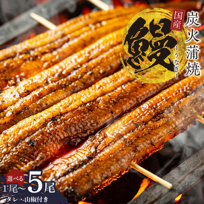 【ふるさと納税】【土用の丑の日】国産 うなぎ 150g×2尾 / 150g×5尾 / 180g×1尾 タレ 山椒付き 有頭 先行予約 数量限定