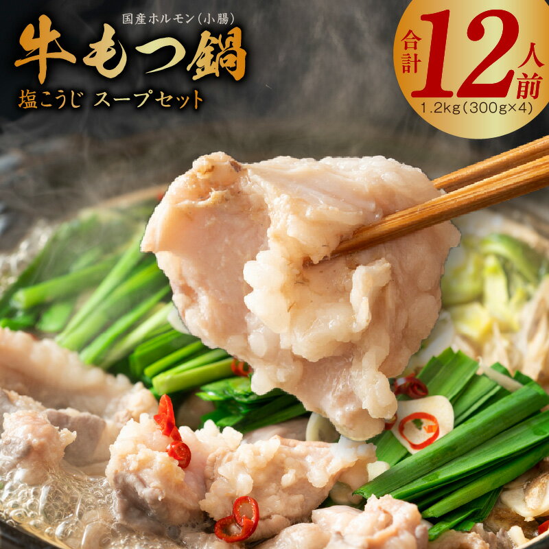 【ふるさと納税】牛もつ鍋 約12人前 国産 ホルモン 小腸 1.2kg（300g×4） 塩こうじ スープ セット 塩...