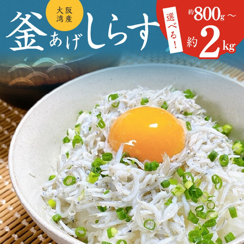 【ふるさと納税】＼訳あり／ 期間限定 しらす 約 800g 