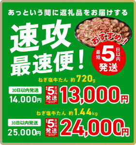 【ふるさと納税】＼最短5営業日以内発送／ ＼発送時期が選べる／ 訳あり 牛肉 牛タン タン肉 スライス 薄切り ネギ塩タン 特製ねぎ塩タレ 焼肉 焼くだけ 簡単調理 便利 小分け 真空パック 味付け肉 サイズ不揃い 食品 肉 冷凍 送料無料 泉佐野市 肉の泉佐野