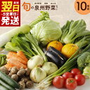 【ふるさと納税】\最短翌日〜5営業日以内発送/ 新鮮 野菜セット 詰め合わせ 10種類 国産 旬 お試し おまかせ お楽しみ 最短発送 / 定期便 3回 / 4...