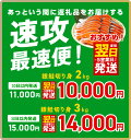 【ふるさと納税】＼最短5営業日以内発送／ 銀鮭 鮭 切り身 訳あり サイズ 不揃い 人気の海鮮返礼品 甘塩 塩分控えめ 冷凍 切身 使い勝手抜群 便利 食品 グルメ グルメ お弁当 おかず シルバー サーモン 魚 海鮮 ムニエル 泉佐野市 送料無料