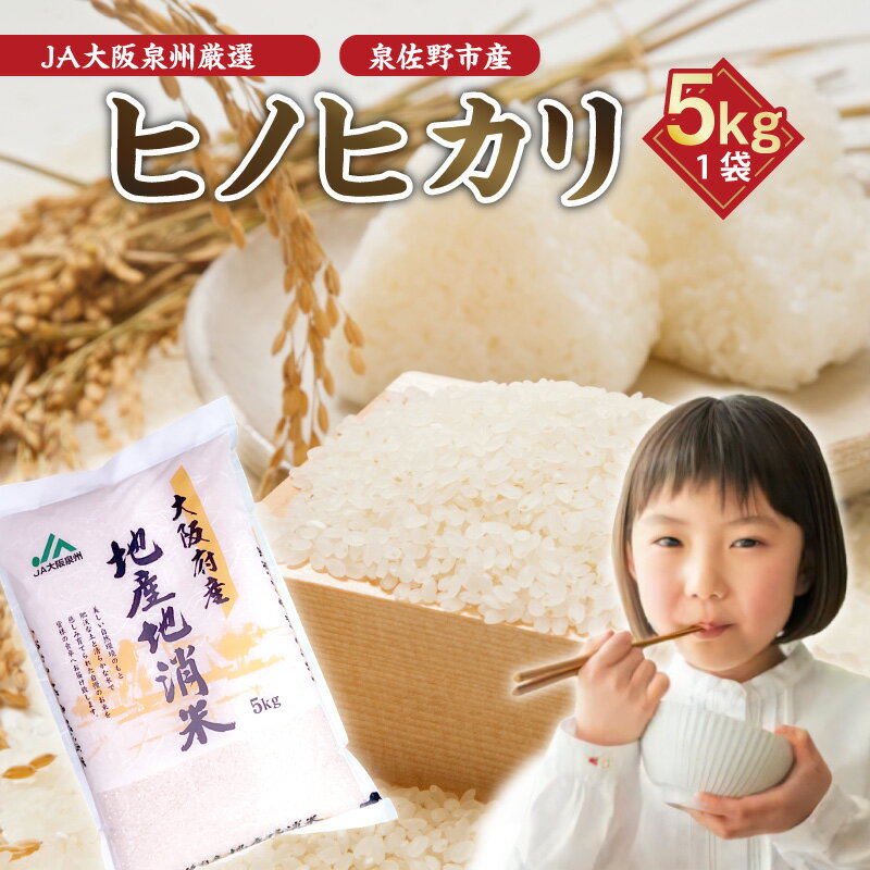 【ふるさと納税】JA大阪泉州厳選 ヒノヒカリ 5kg 泉佐野産 令和5年産 地産地消 お米