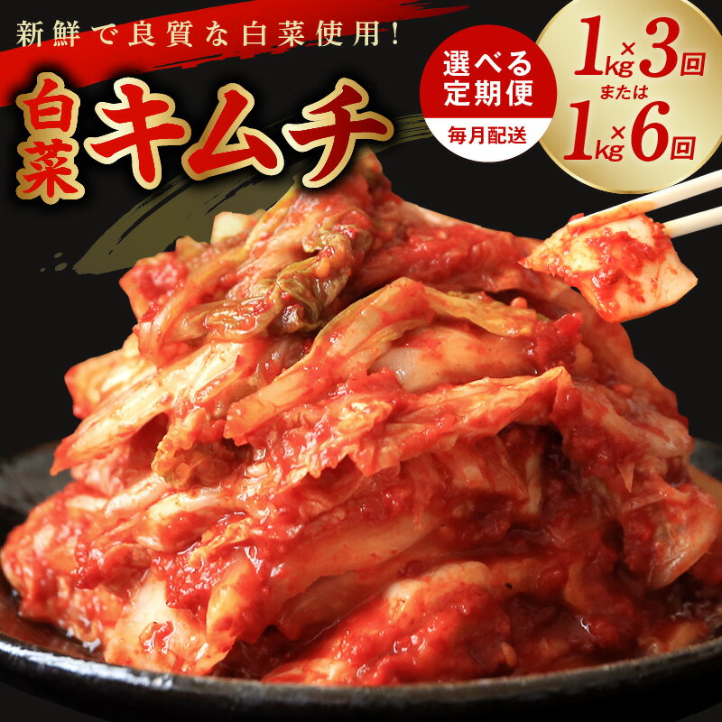 定期便 白菜キムチ 毎月配送コース 大好評 韓国 キムチ 新鮮 白菜 濃厚 コク 辛味 手作り 特製キムチ 鍋 チャーハン 豚キムチ お取り寄せ お取り寄せグルメ 食品 食べ物 栄物産 大阪府 泉佐野市 送料無料