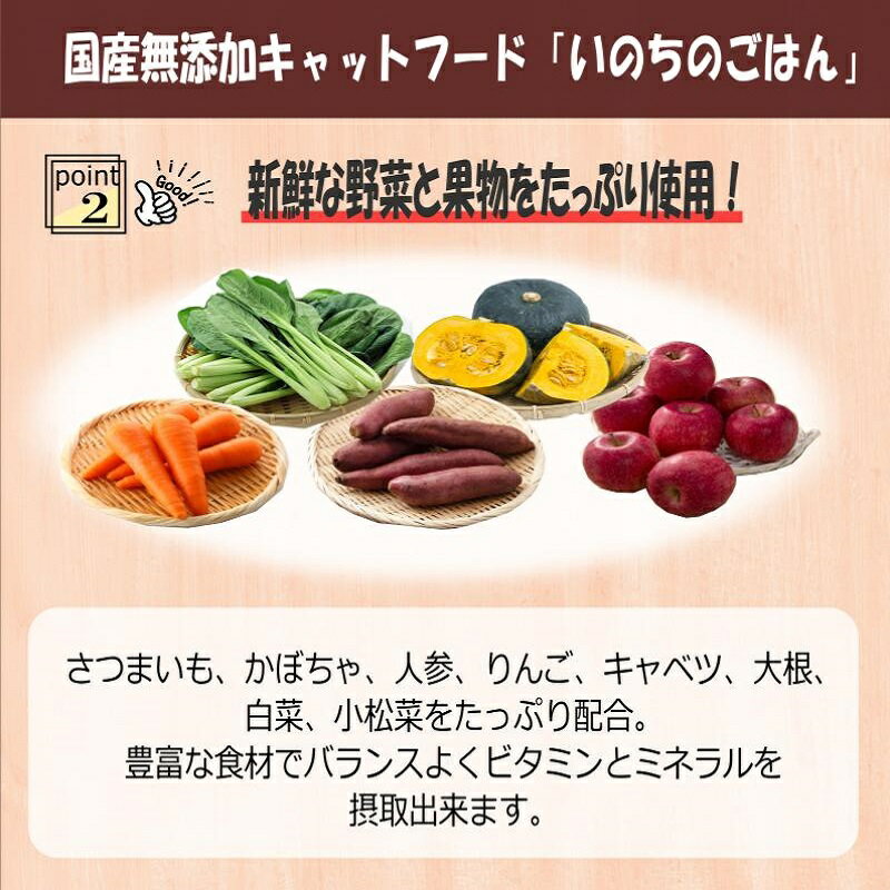 【ふるさと納税】【定期便】国産 無添加 キャットフード「いのちのごはん」1kg×全6回【毎月配送コース】 3