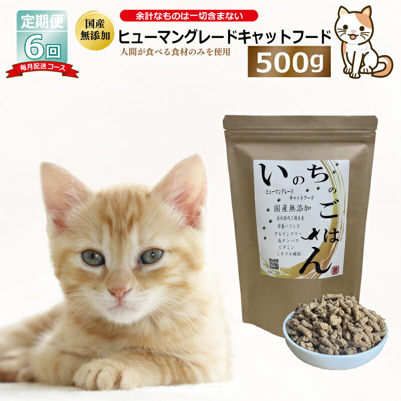 【ふるさと納税】【定期便】国産 無添加 キャットフード いのちのごはん 500g 全6回【毎月配送コース】