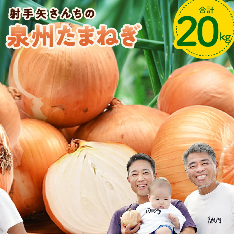 【ふるさと納税】 ＼レビューキャンペーン／ 射手矢さんちの泉州たまねぎ 20kg 玉ねぎ 甘い 野菜 ランキング 1位 獲得 国産 M級以上 期間限定 新たまねぎ オニオン スライス サラダ カレー シチュー バーベキュー BBQ 肉じゃが 関西 大阪 大阪府 泉佐野市 送料無料